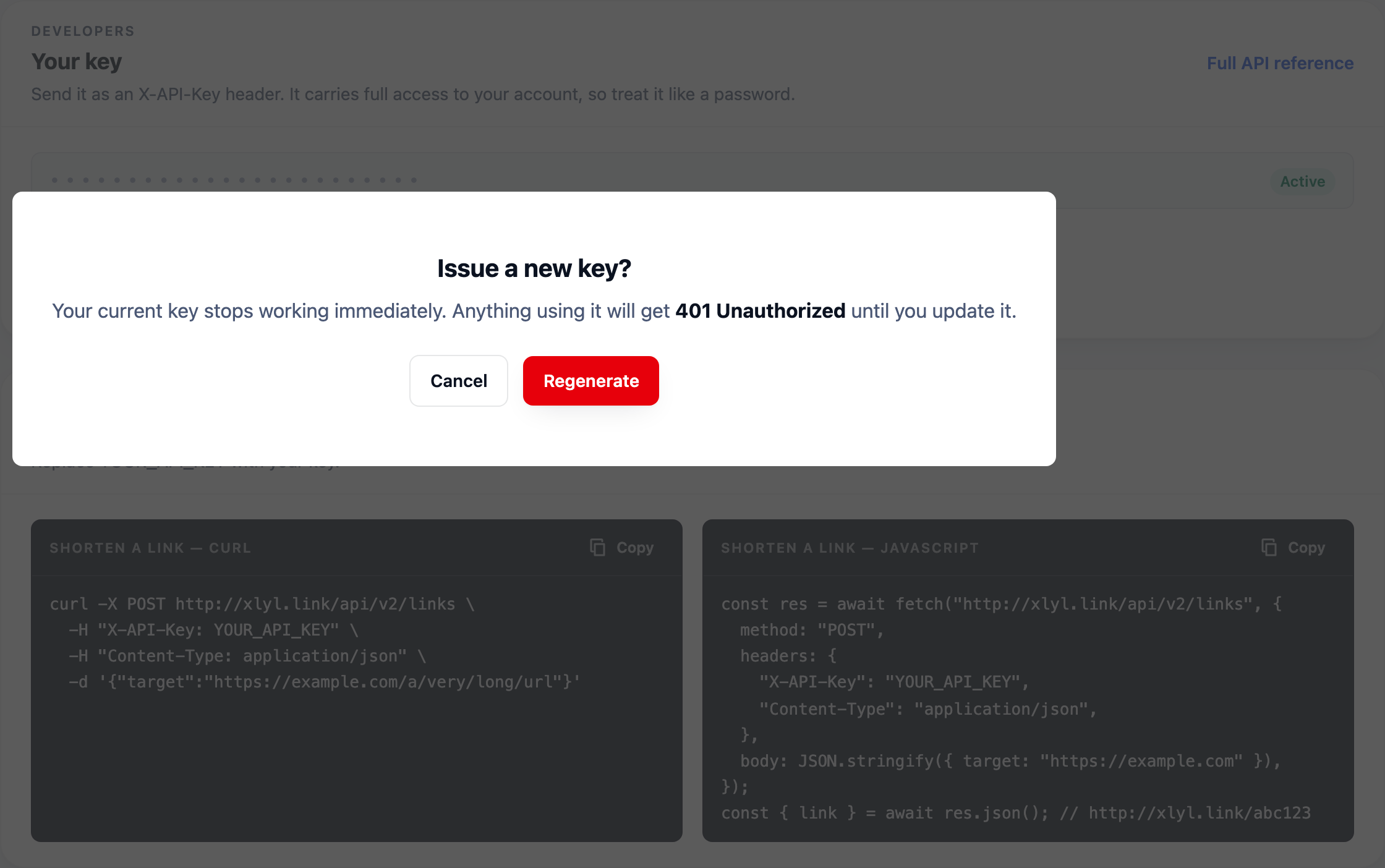 The API key page: a freshly issued key, and curl and JavaScript samples that already contain it